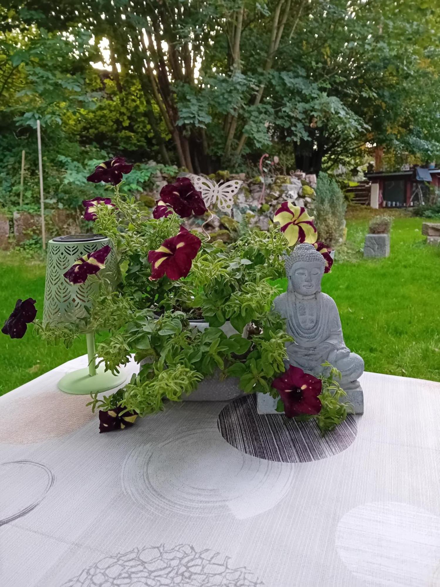 Ferienhaus Mit Garten Im Odenwald Zu Vermieten Frankisch-Crumbach Exteriör bild